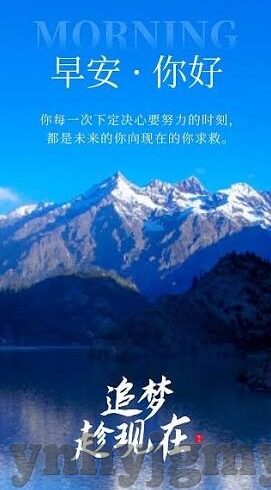 8x8x免费麻豆视频-8x8x平台，娱乐内容的选择与思考