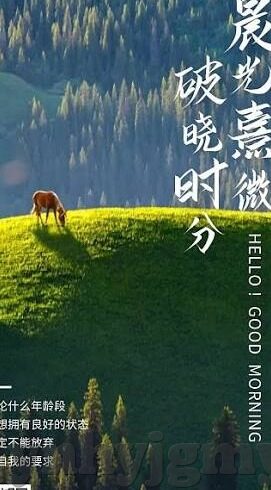 91麻豆精品人妻-关于家庭与爱情的微观视角，91麻豆精品人妻这一社会现象的深度洞察——缘起与影响