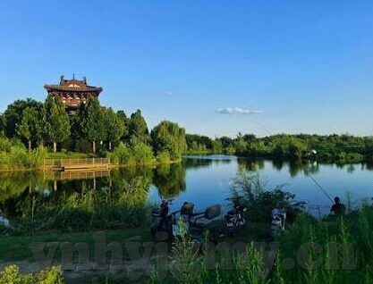 老司机成人网老司机视频-老司机成人网与老司机视频，网络文化中的灰色地带