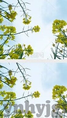麻豆文化传媒app免费看下载-探寻麻豆文化传媒，解锁创意内容的新视界