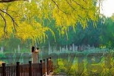 麻豆映画传媒是哪里的-麻豆映画传媒，揭开东南沿海影视创作的新篇章