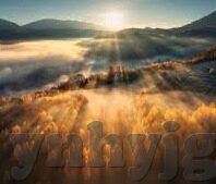 商业伦理导论-商业伦理导论，构建企业可持续发展的道德基石