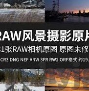 ss52ss大象传媒-探索SS52SS大象传媒的独特魅力与行业价值